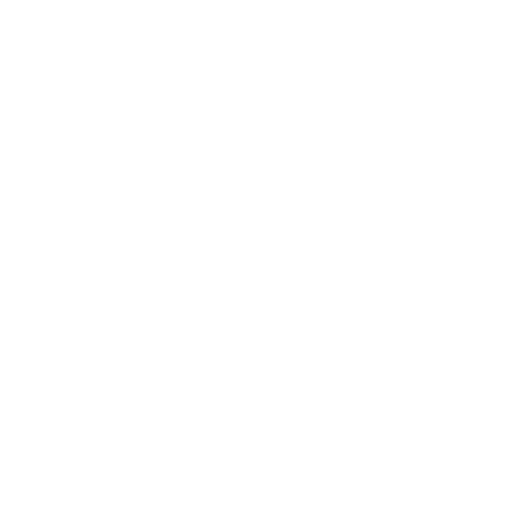 Icon Road Rules